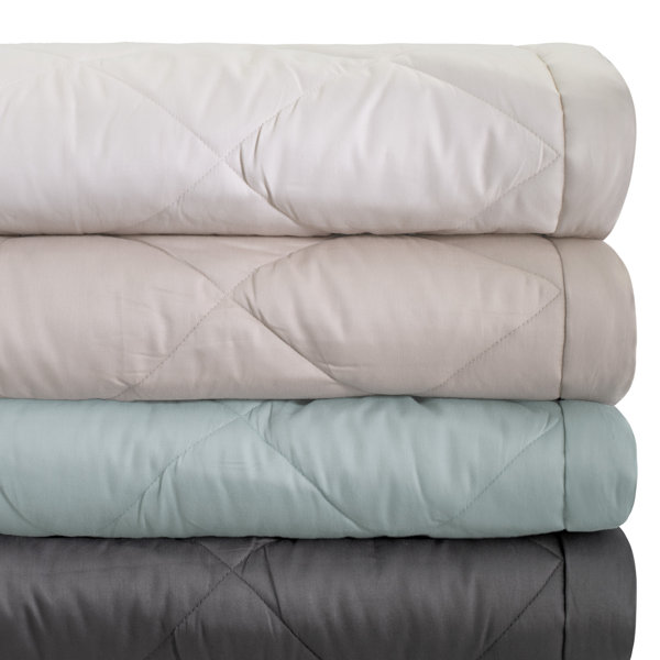Serta Down Alternative Blanket & Reviews Wayfair